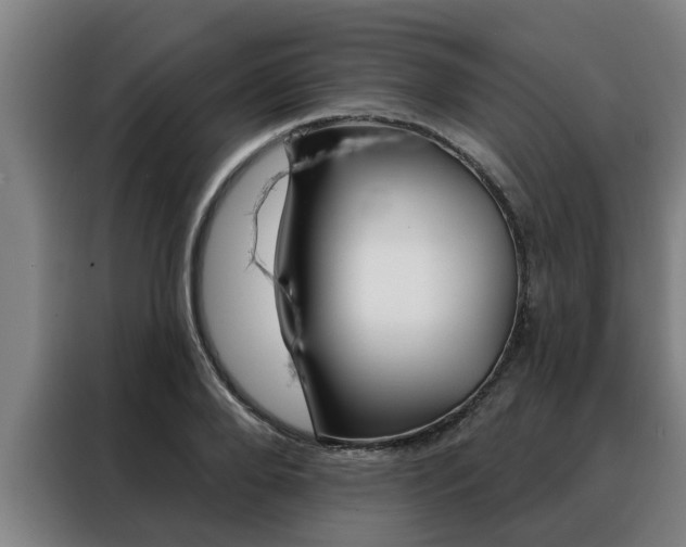 X0000088390888200705220759