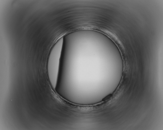 X0000088390889200705220759