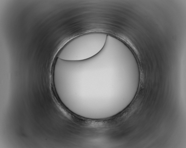 X0000088390890200705220759