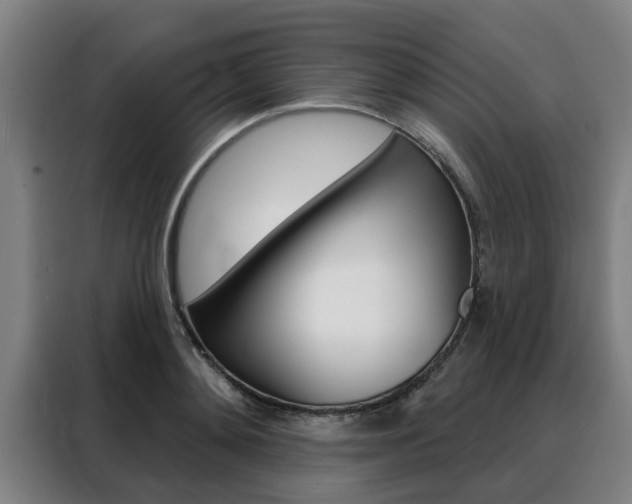 X0000088390892200705220759
