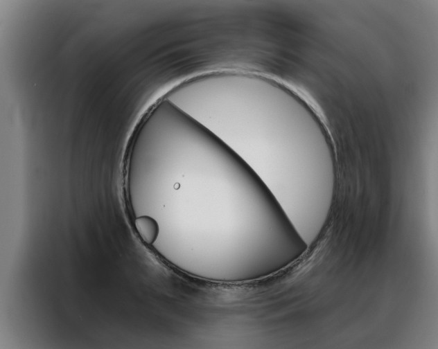 X0000088390895200705220759