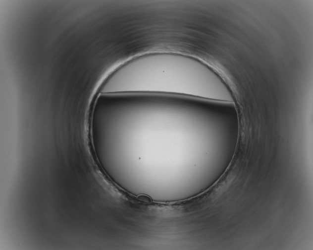 X0000088390896200705220758