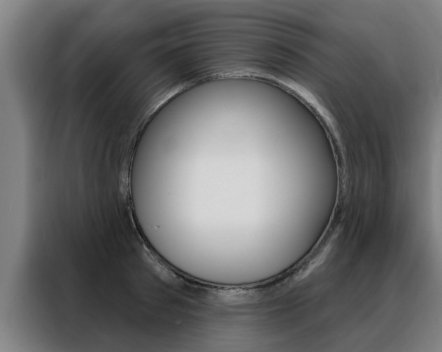 X0000088390897200705220758