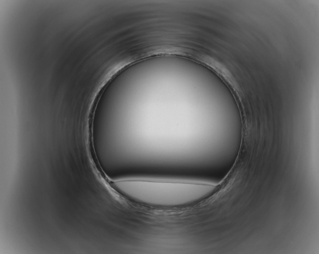 X0000088390898200705220758