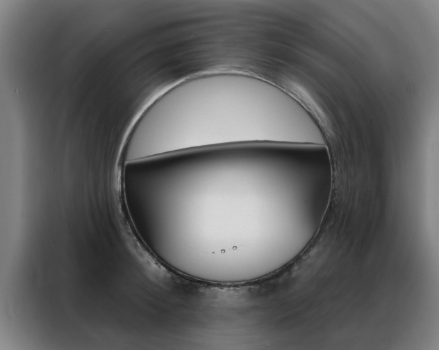 X0000088390900200705220758