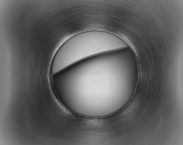 X0000088390901200705220758