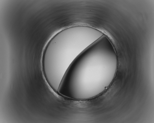 X0000088390902200705220758