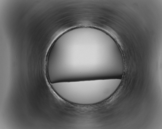 X0000088390903200705220758