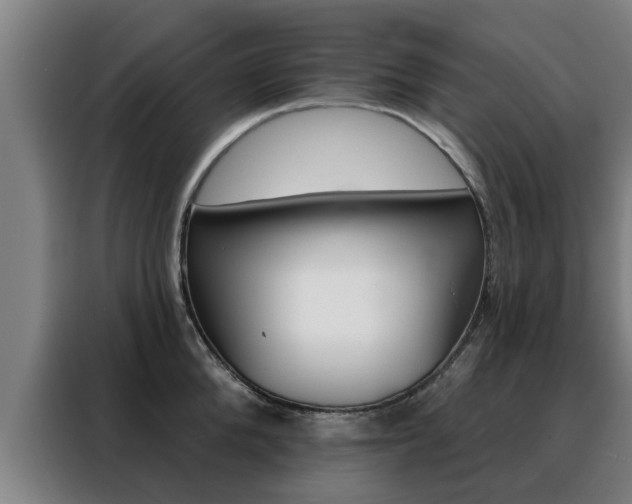 X0000088390904200705220758