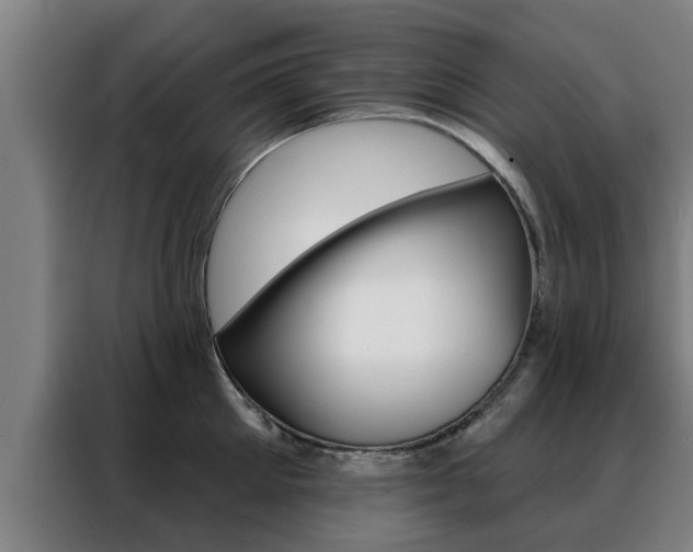 X0000088390905200705220758