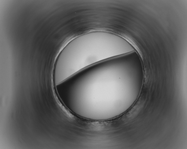 X0000088390906200705220758