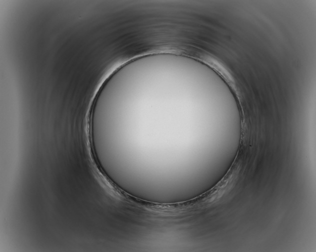 X0000088390907200705220758