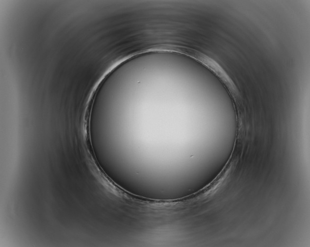 X0000088390908200705220758