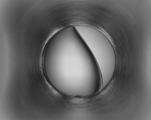 X0000088390909200705220758