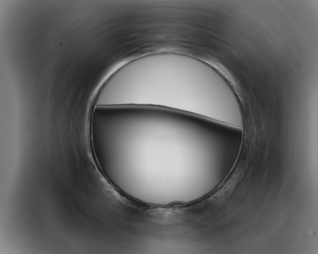 X0000088390910200705220758