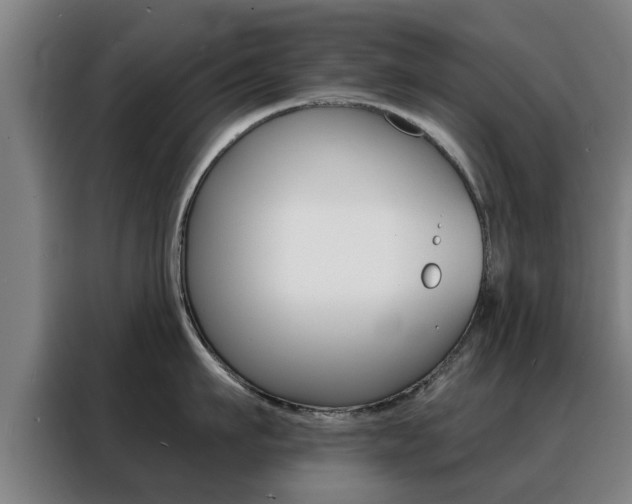 X0000088390911200705220758