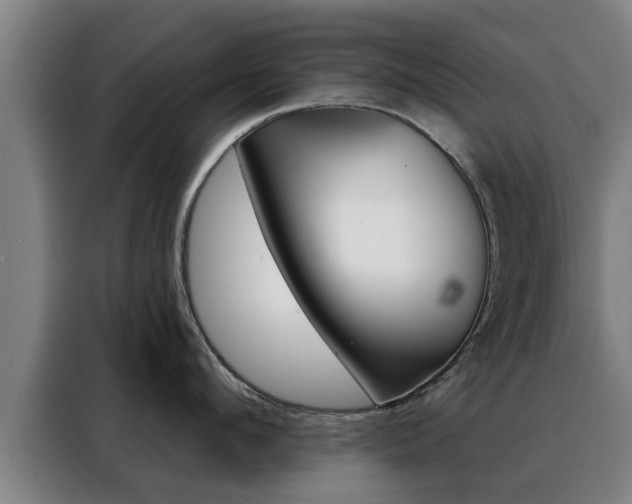 X0000088390912200705220758