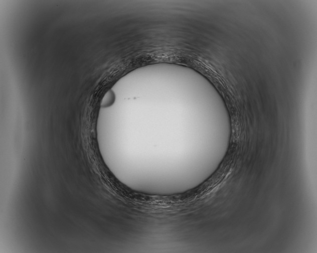 X0000088390913200705220758