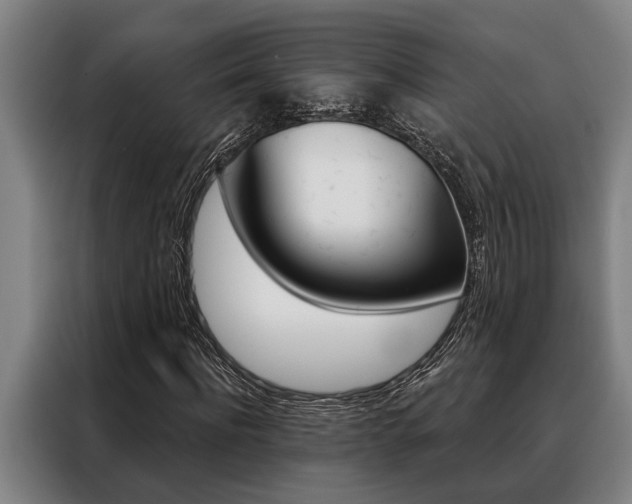 X0000088390916200705220758