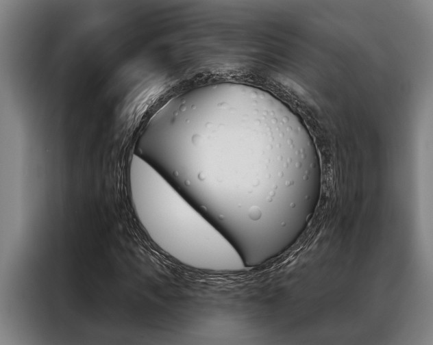 X0000088390917200705220758