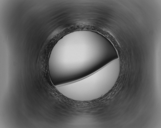 X0000088390919200705220758