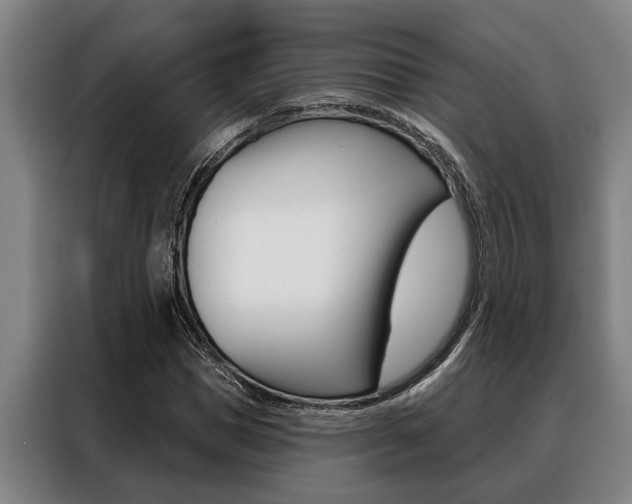 X0000088390921200705220758