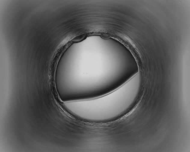 X0000088390922200705220758