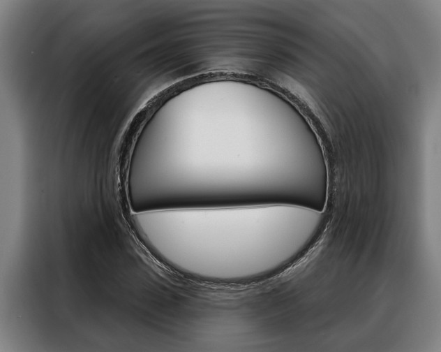 X0000088390923200705220758