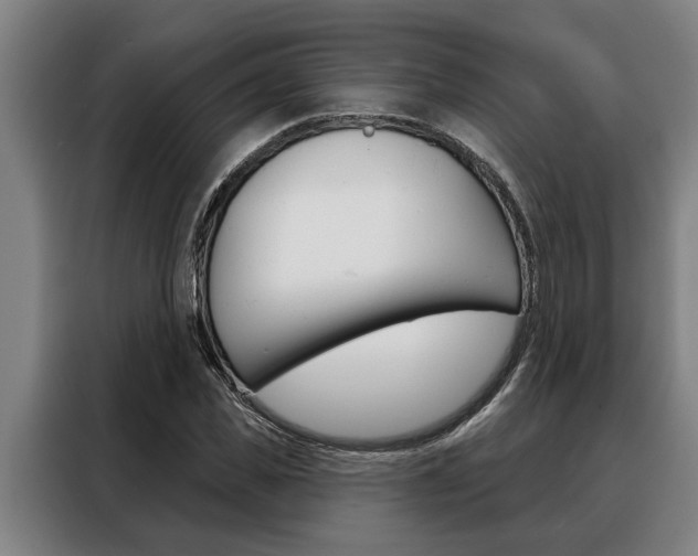 X0000088390925200705220758