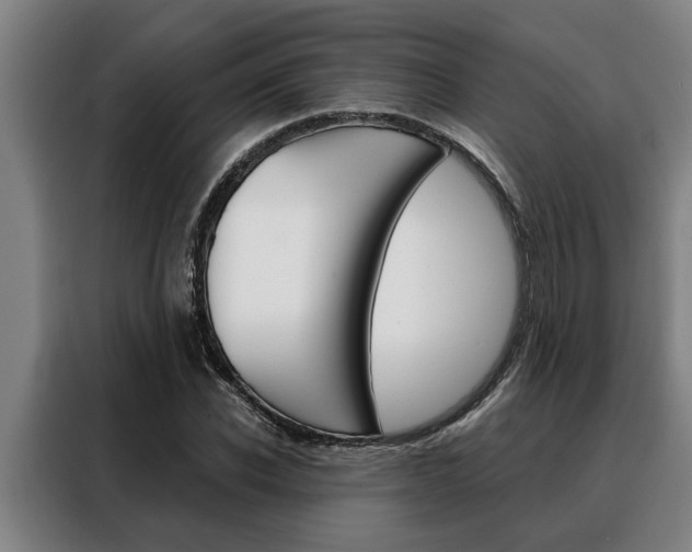 X0000088390926200705220758