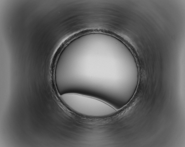 X0000088390927200705220758