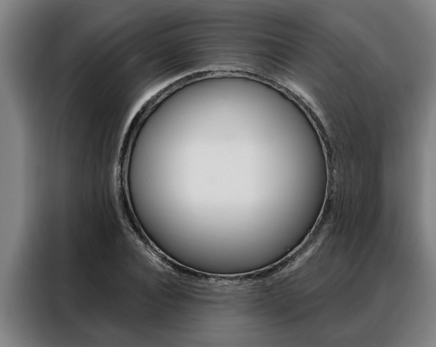 X0000088390928200705220758