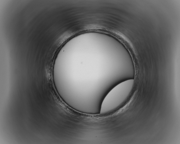 X0000088390929200705220758