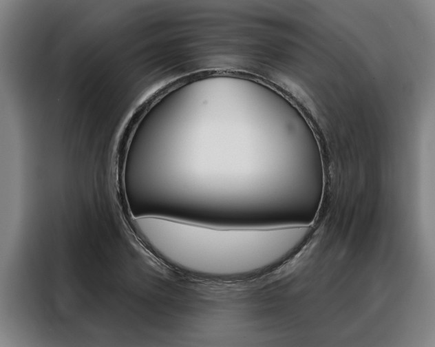 X0000088390931200705220758