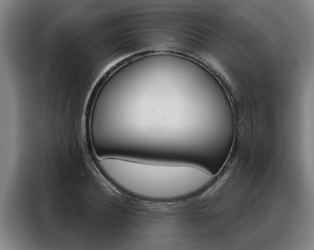 X0000088390932200705220758