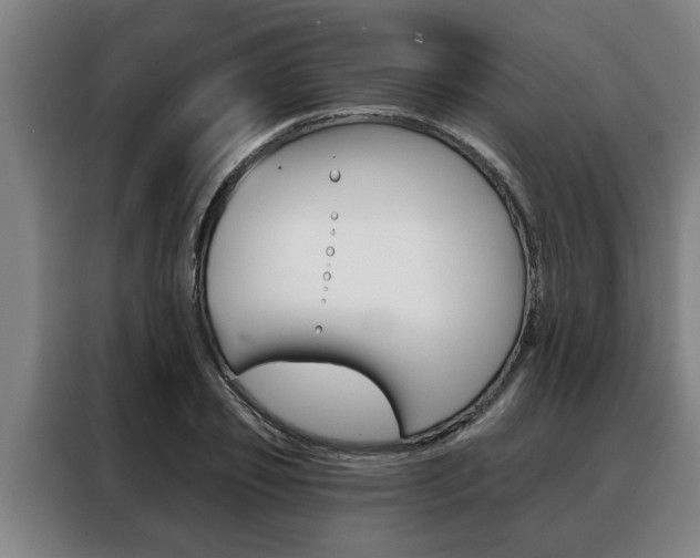 X0000088390933200705220758