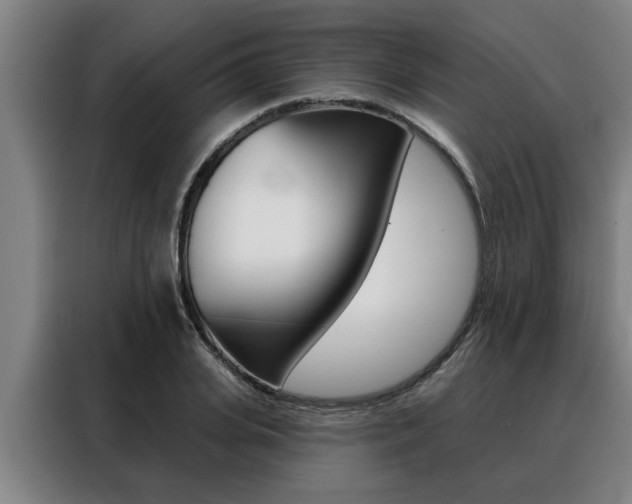 X0000088390935200705220758