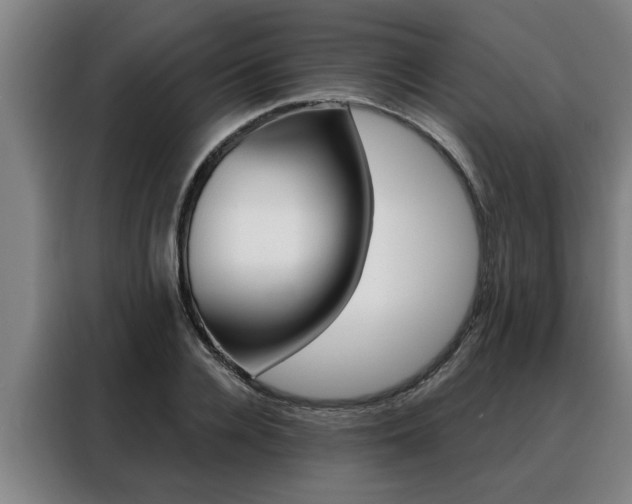 X0000088390936200705220758