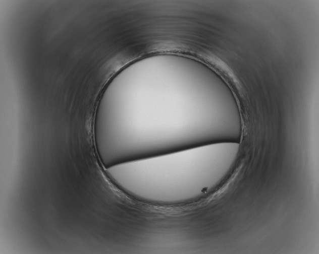 X0000088390937200705220758