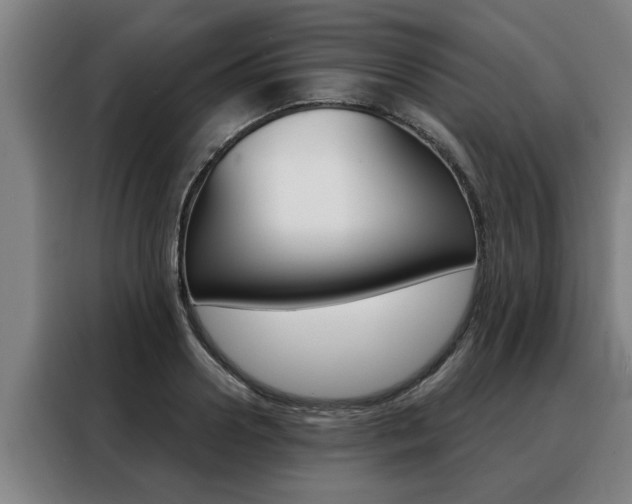 X0000088390938200705220758
