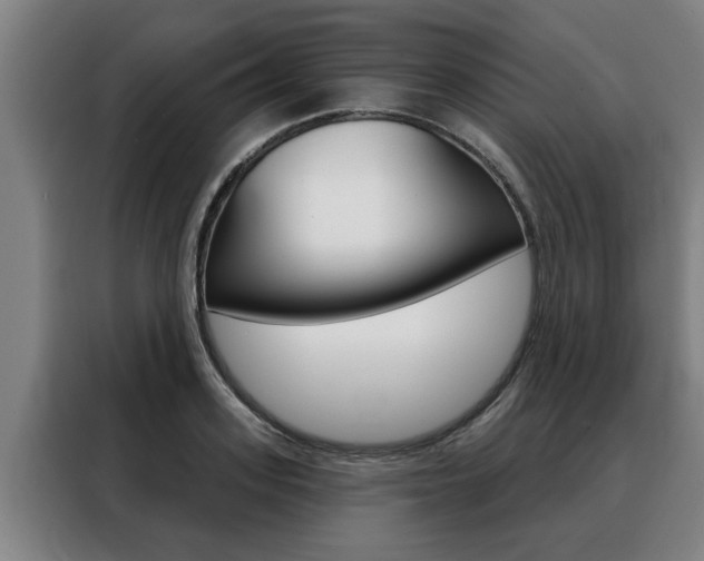 X0000088390939200705220758