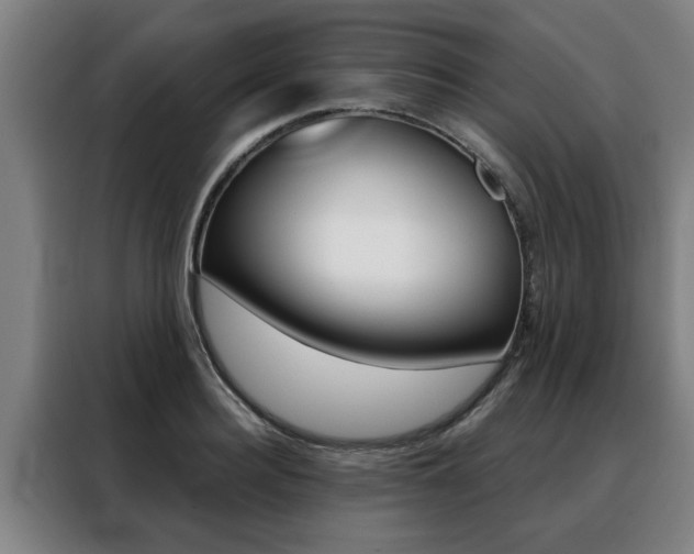 X0000088390940200705220758