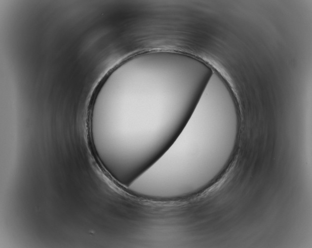 X0000088390941200705220758
