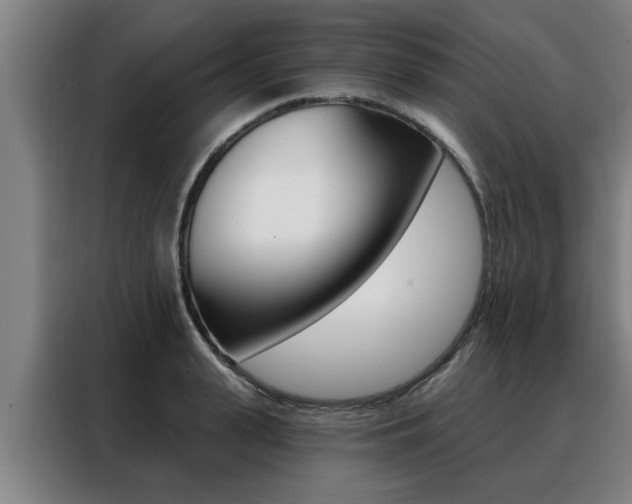 X0000088390943200705220758