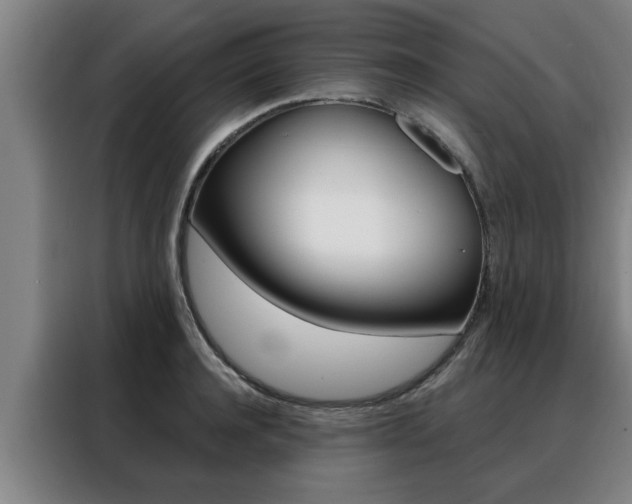 X0000088390944200705220758