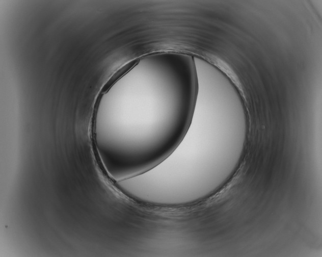 X0000088390946200705220758