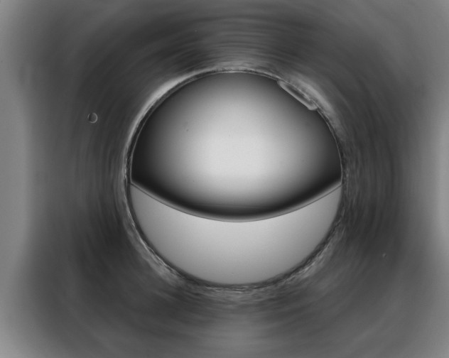 X0000088390948200705220758