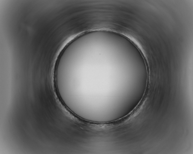 X0000088390949200705220758
