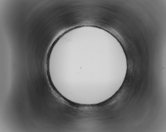 X0000088390950200705220758