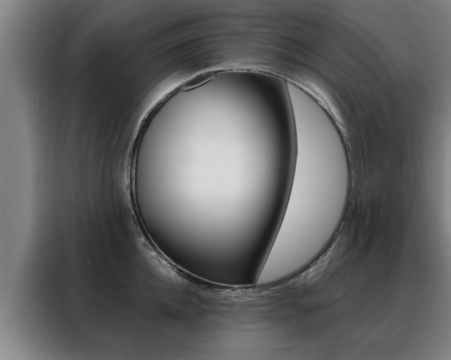X0000088390952200705220758